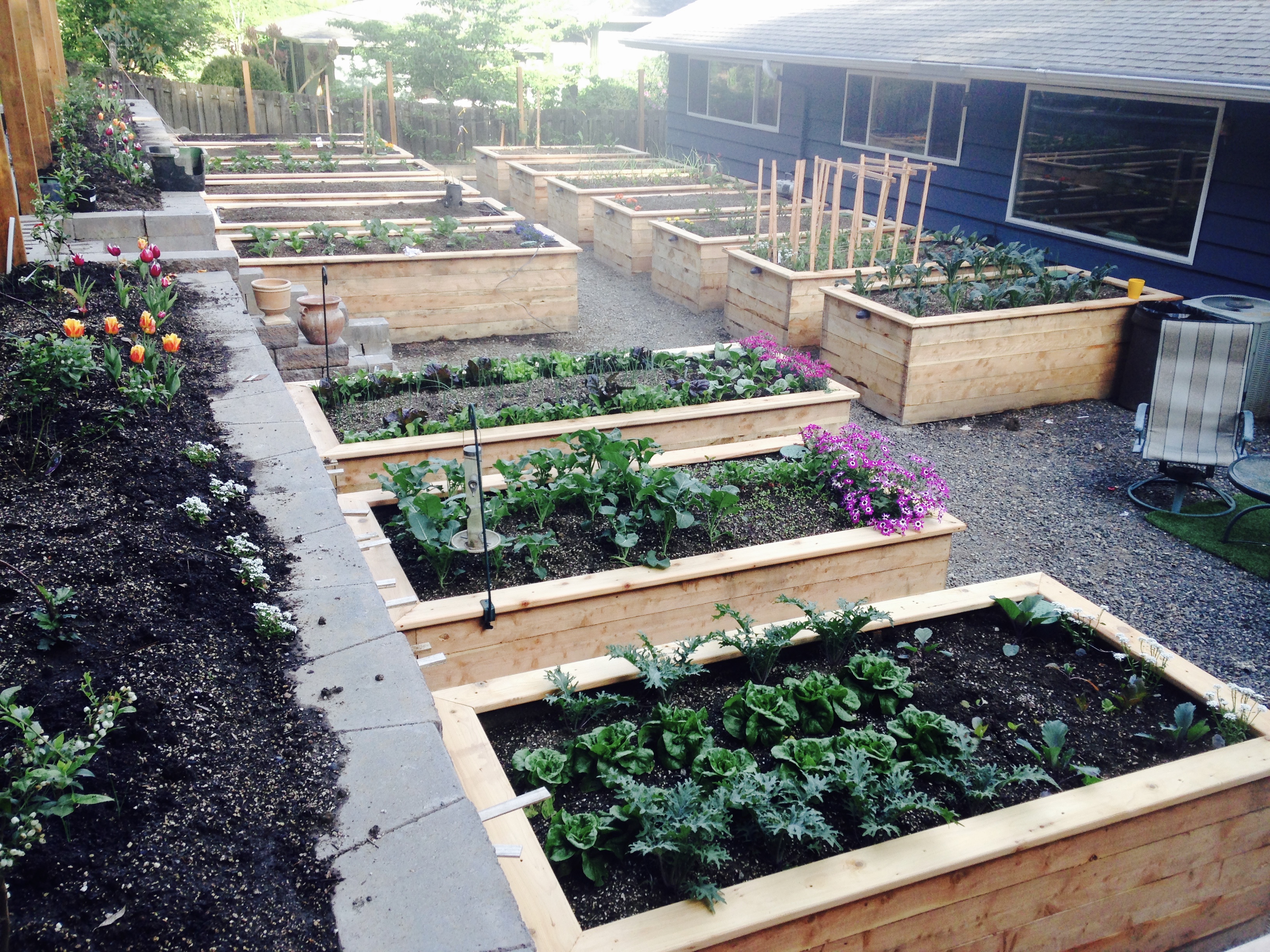 Urban Garden . USA ,